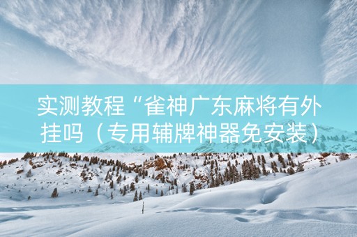 实测教程“雀神广东麻将有外挂吗（专用辅牌神器免安装）