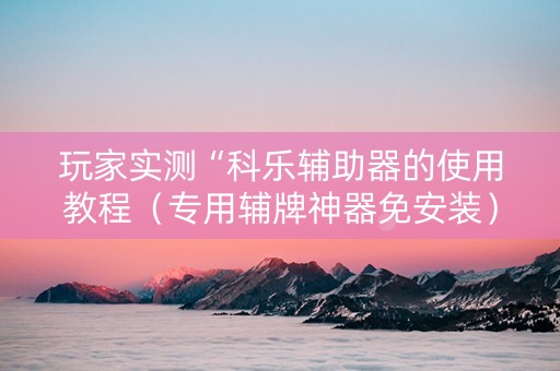 玩家实测“科乐辅助器的使用教程（专用辅牌神器免安装）