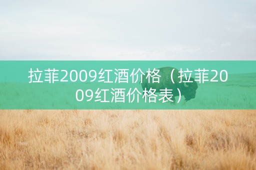拉菲2009红酒价格（拉菲2009红酒价格表）