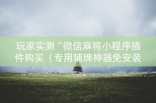 玩家实测“微信麻将小程序插件购买（专用辅牌神器免安装）