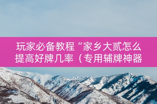 玩家必备教程“家乡大贰怎么提高好牌几率（专用辅牌神器免安装）