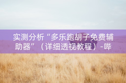 实测分析“多乐跑胡子免费辅助器”（详细透视教程）-哔哩哔哩