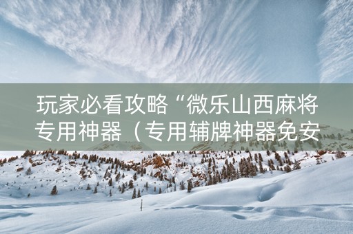 玩家必看攻略“微乐山西麻将专用神器（专用辅牌神器免安装）