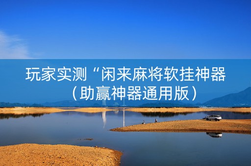 玩家实测“闲来麻将软挂神器（助赢神器通用版）