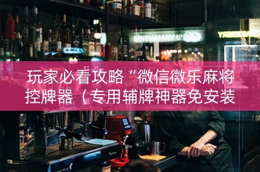 玩家必看攻略“微信微乐麻将控牌器（专用辅牌神器免安装）