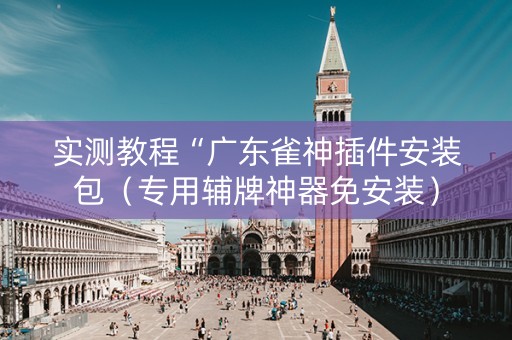实测教程“广东雀神插件安装包（专用辅牌神器免安装）