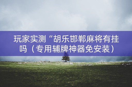 玩家实测“胡乐邯郸麻将有挂吗（专用辅牌神器免安装）