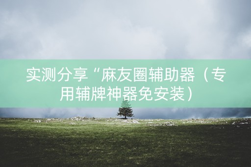实测分享“麻友圈辅助器（专用辅牌神器免安装）