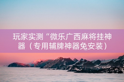 玩家实测“微乐广西麻将挂神器（专用辅牌神器免安装）