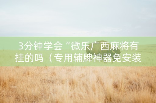 3分钟学会“微乐广西麻将有挂的吗（专用辅牌神器免安装）