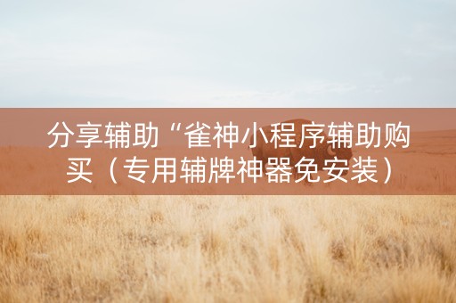 分享辅助“雀神小程序辅助购买（专用辅牌神器免安装）