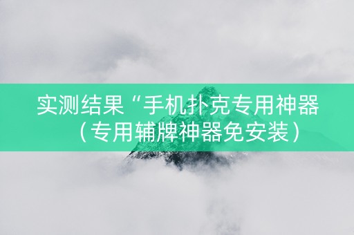 实测结果“手机扑克专用神器（专用辅牌神器免安装）