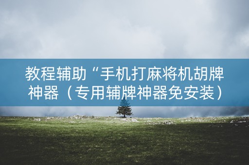 教程辅助“手机打麻将机胡牌神器（专用辅牌神器免安装）