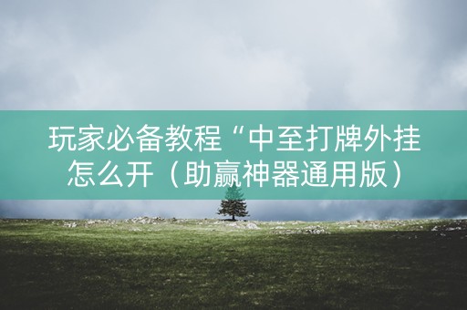 玩家必备教程“中至打牌外挂怎么开（助赢神器通用版）