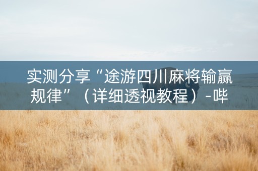实测分享“途游四川麻将输赢规律”（详细透视教程）-哔哩哔哩