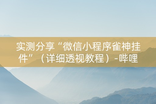 实测分享“微信小程序雀神挂件”（详细透视教程）-哔哩哔哩