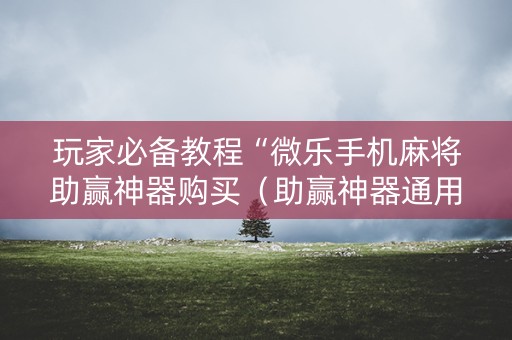 玩家必备教程“微乐手机麻将助赢神器购买（助赢神器通用版）