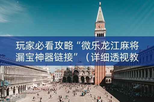 玩家必看攻略“微乐龙江麻将漏宝神器链接”（详细透视教程）-哔哩哔哩