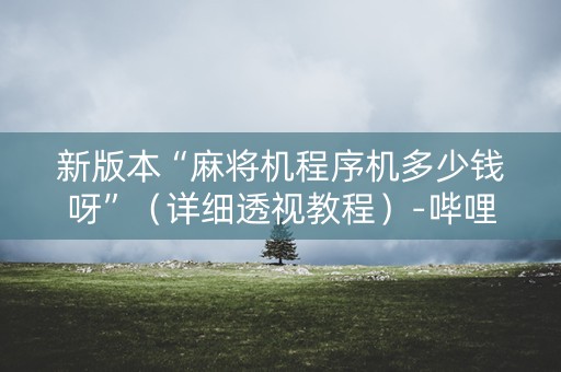 新版本“麻将机程序机多少钱呀”（详细透视教程）-哔哩哔哩