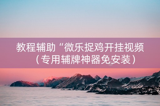 教程辅助“微乐捉鸡开挂视频（专用辅牌神器免安装）