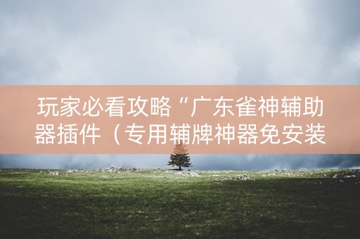 玩家必看攻略“广东雀神辅助器插件（专用辅牌神器免安装）