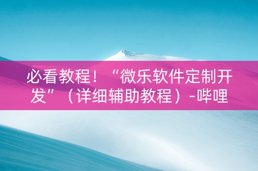 必看教程！“微乐软件定制开发”（详细辅助教程）-哔哩哔哩