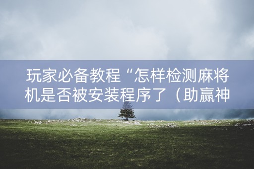玩家必备教程“怎样检测麻将机是否被安装程序了（助赢神器通用版）