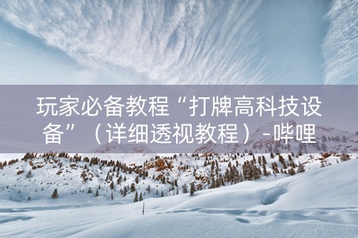 玩家必备教程“打牌高科技设备”（详细透视教程）-哔哩哔哩