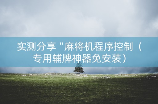 实测分享“麻将机程序控制（专用辅牌神器免安装）