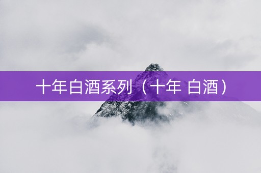 十年白酒系列（十年 白酒）