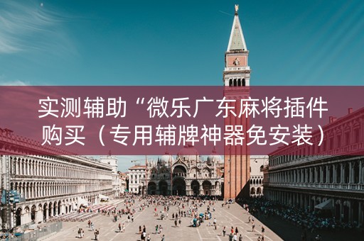 实测辅助“微乐广东麻将插件购买（专用辅牌神器免安装）