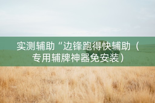 实测辅助“边锋跑得快辅助（专用辅牌神器免安装）
