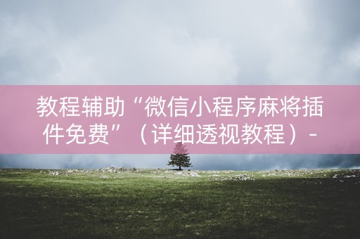 教程辅助“微信小程序麻将插件免费”（详细透视教程）-哔哩哔哩