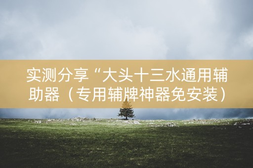 实测分享“大头十三水通用辅助器（专用辅牌神器免安装）