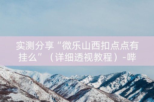 实测分享“微乐山西扣点点有挂么”（详细透视教程）-哔哩哔哩