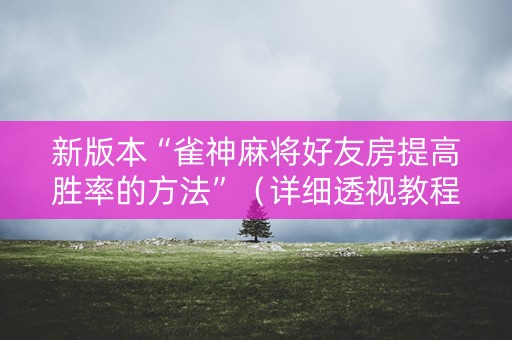新版本“雀神麻将好友房提高胜率的方法”（详细透视教程）-哔哩哔哩