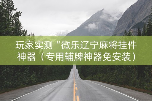 玩家实测“微乐辽宁麻将挂件神器（专用辅牌神器免安装）