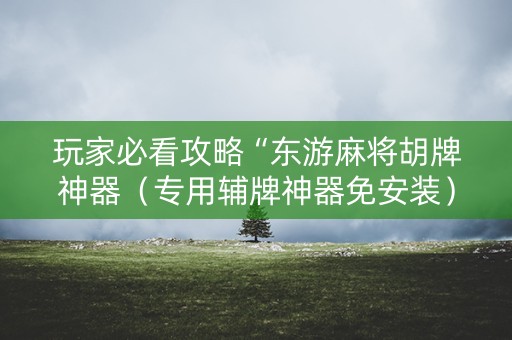 玩家必看攻略“东游麻将胡牌神器（专用辅牌神器免安装）