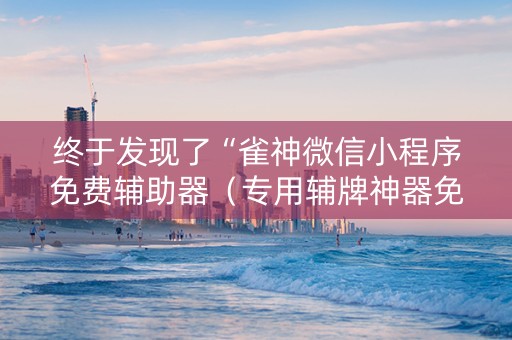 终于发现了“雀神微信小程序免费辅助器（专用辅牌神器免安装）