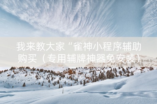 我来教大家“雀神小程序辅助购买（专用辅牌神器免安装）