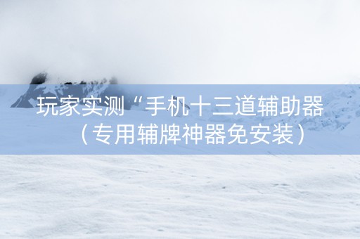 玩家实测“手机十三道辅助器（专用辅牌神器免安装）