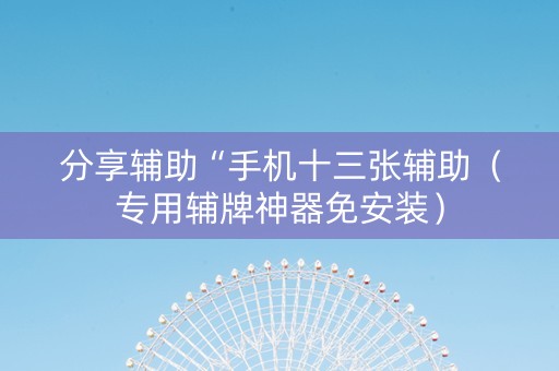 分享辅助“手机十三张辅助（专用辅牌神器免安装）