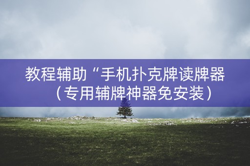 教程辅助“手机扑克牌读牌器（专用辅牌神器免安装）