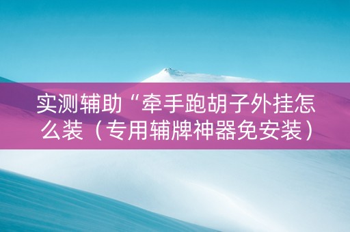实测辅助“牵手跑胡子外挂怎么装（专用辅牌神器免安装）