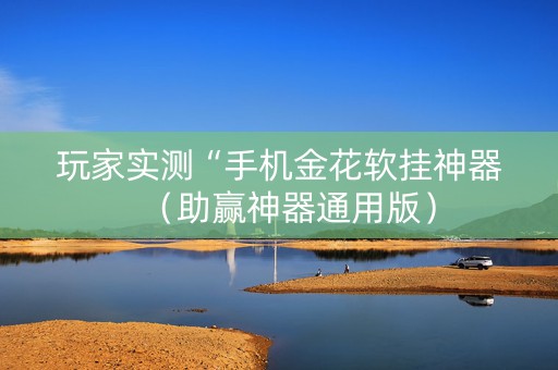 玩家实测“手机金花软挂神器（助赢神器通用版）