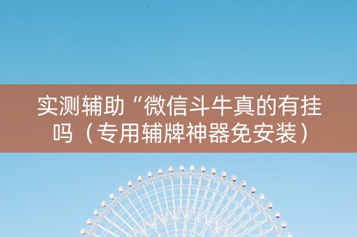 实测辅助“微信斗牛真的有挂吗（专用辅牌神器免安装）