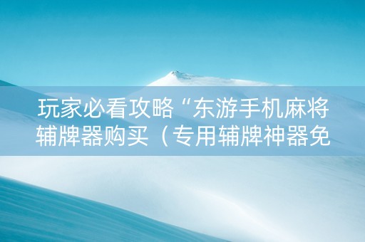 玩家必看攻略“东游手机麻将辅牌器购买（专用辅牌神器免安装）