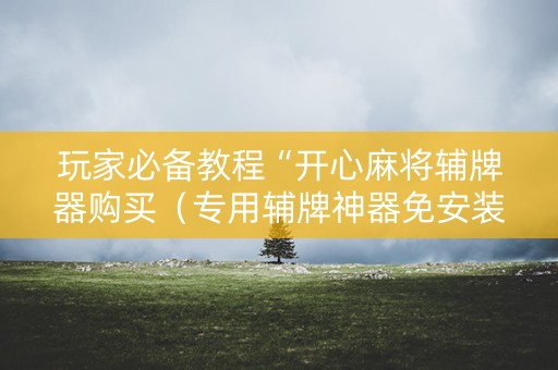 玩家必备教程“开心麻将辅牌器购买（专用辅牌神器免安装）