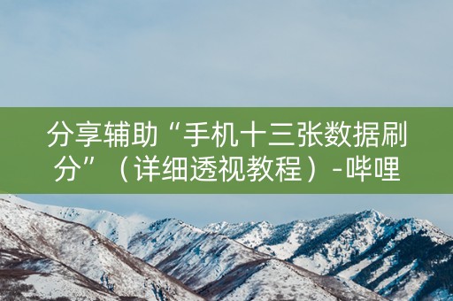 分享辅助“手机十三张数据刷分”（详细透视教程）-哔哩哔哩