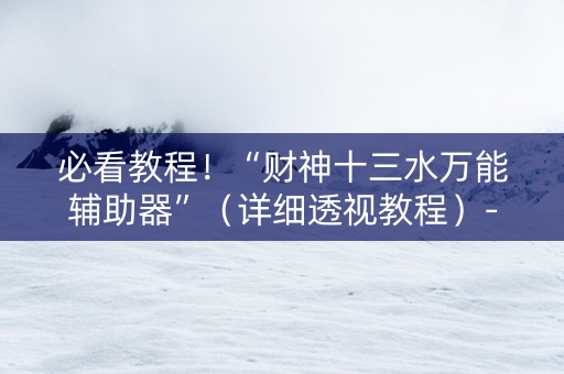 必看教程！“财神十三水万能辅助器”（详细透视教程）-哔哩哔哩